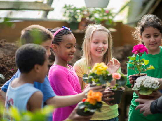 Group of students engaged in a nonprofit outdoor learning program